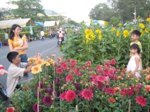 逛游春节花市