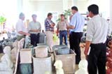 Dong Tam Ceramics and Pottery Company launches its new products