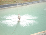 Nhon Trach 2 Industrial Zone will put the concentrated waste water treatment system in Quarter 3 of 2008 into operation.