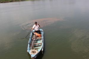 川沿いのVietGAP養魚を開発する
