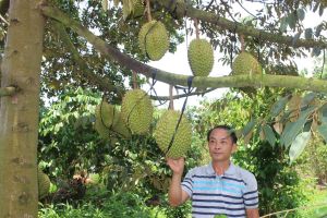 生産環境でリンクチェーンを開発する
