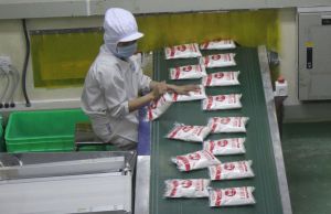 Dong Naiは30年以上にわたってFDI投資を引き付けて続けている