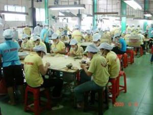 2009年11月份同奈省经济继续保持积极增长。