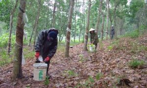 4種類のプロジェクトへの土地引渡しの提案