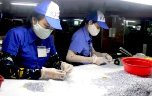 工業団地のFDI企業は商品の消費市場を拡大