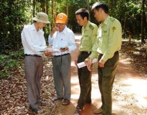 2011年前六个月：发现违反保护和发展森林法律的180案件。
