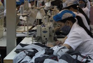 多くの企業、協同組合、および企業世帯が支援金を受けます