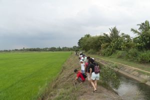 タンフー地区は地元の農産物の強さを高めます