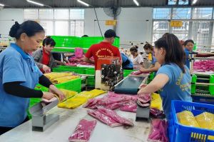 オンライン輸出入を行う企業へに支援する
