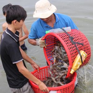 发展饲养水海产