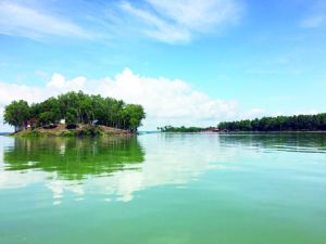 Dong Nai tourism: explore lakes and forests in Vinh Cuu district
