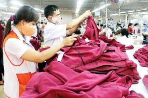 Dong Nai among the top cities and provinces in terms of excess of export over import