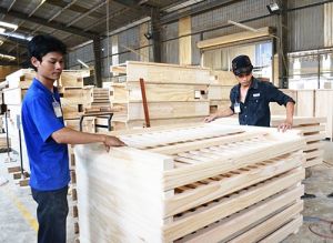 Find the solutions for sustainable development of wood-processing industry