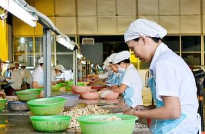Large agricultural region must have product processing industry