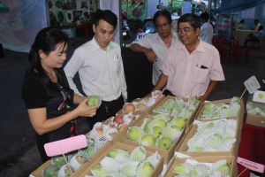 Area of fruit trees granted with growing area codes for export increases rapidly