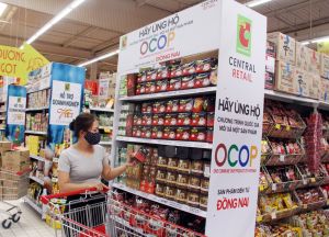 Strive to support more than 50% of OCOP in obtaining a website to advertise their brand