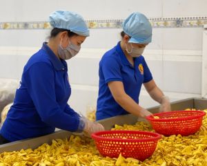 Share the burden with enterprises