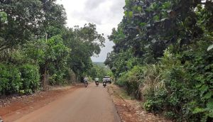 Cam My District established 4 development regions