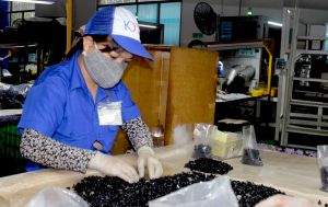Industrial production index rose 4.1%