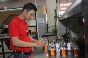 FTA brings many opportunities for businesses
