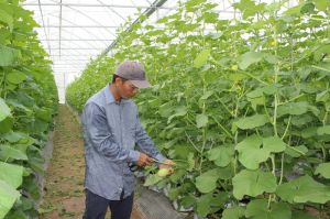 Sản xuất, tiêu thụ sản phẩm Nhà Cái Cược Thể Thao #1 | Đăng Nhập Chính Thức hữu cơ còn nhiều khó khăn