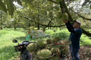 Nhà Cái Cược Thể Thao #1 | Đăng Nhập Chính Thức Đăng Nhập Chính Thức OK9 tăng trưởng ấn tượng