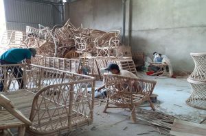 Dịch bệnh tác dộng bất lợi đến hộ ôk9 truy cập ngay cá thể