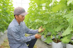 Đăng Nhập Chính Thức OK9 triển khai gần 80 chương trình, dự án ứng phó với biến đổi khí hậu