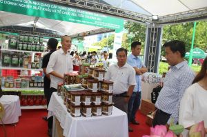 Đăng Nhập Chính Thức OK9 tham dự chương trình kết nối giao thương với các nhà phân phối, Ok988 vip tải app xuất khẩu tại TP.HCM