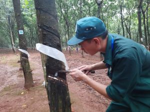 Enterprises expand labor recruitment