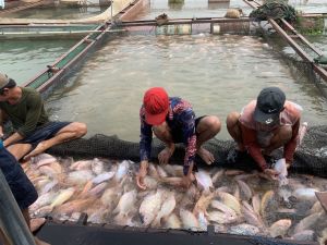 Seafood production is at the forefront of growth