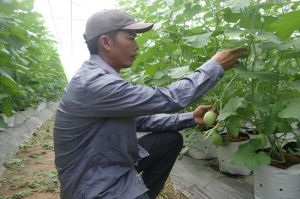 Thanh niên bỏ phố về vườn để làm Nhà Cái Cược Thể Thao #1 | Đăng Nhập Chính Thức