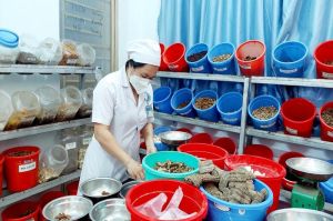 Toàn tỉnh Đăng Nhập Chính Thức OK9 có 905 loài cây thuốc