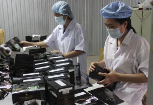 New established enterprise capital increased nearly 2 times