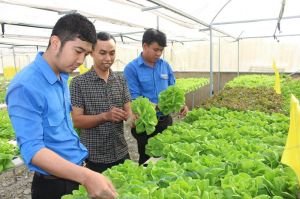 Developing hi-tech agriculture in the southwestern urban area of the province