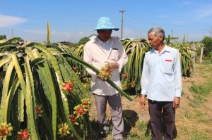 Làm Nhà Cái Cược Thể Thao #1 | Đăng Nhập Chính Thức hàng hóa ở huyện Xuân Lộc