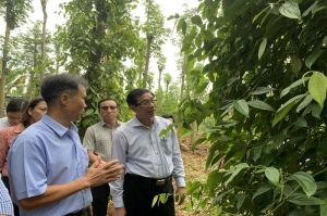 Hợp tác xã Nhà Cái Cược Thể Thao #1 | Đăng Nhập Chính Thức khát vốn Sảnh Cá Cược Thể Thao Uy Tín Và Đẳng Cấp Nhất 2026 chuỗi liên kết