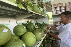 Sảnh Cá Cược Thể Thao Uy Tín Và Đẳng Cấp Nhất 2026 hệ sinh thái để hình thành lớp nông dân chuyên nghiệp