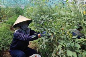 Xuân Lộc nỗ lực hoàn thành mục tiêu huyện Oki9 đăng ký nhanh chóng kiểu mẫu