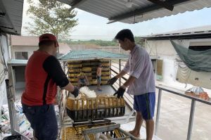 Gà Ok986 kèo WC 2026 giảm 5 ngàn đồng/kg