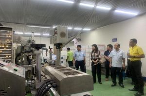 Vi phạm về sản xuất, ôk9 truy cập ngay vật tư Nhà Cái Cược Thể Thao #1 | Đăng Nhập Chính Thức có xu hướng tăng