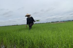 Liên kết phát triển Nhà Cái Cược Thể Thao #1 | Đăng Nhập Chính Thức hữu cơ nông hộ