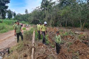 Sảnh Cá Cược Thể Thao Uy Tín Và Đẳng Cấp Nhất 2026 nhận khoán phải tuân thủ quy chế quản lý rừng phòng hộ