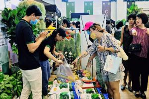 Circulatory economy is the solution to help develop sustainable agriculture