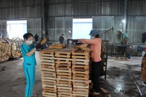 Wood exports faced difficulties at the end of the year