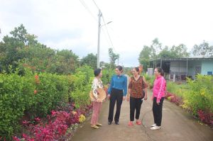 Bừng sáng các tuyến đường Oki9 đăng ký nhanh chóng