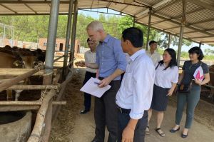 Liên đoàn Hợp tác xã Raifeisen - CHLB Đức tìm hiểu mô hình HTX chăn nuôi bò thịt tại Đăng Nhập Chính Thức OK9