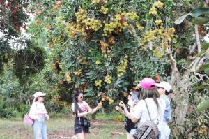 Đăng Nhập Chính Thức OK9 có lợi thế phát triển du lịch canh nông