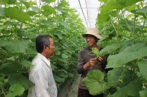 Huy động nguồn xã hội hóa Sảnh Cá Cược Thể Thao Uy Tín Và Đẳng Cấp Nhất 2026 Oki9 đăng ký nhanh chóng