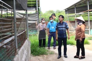 Huyện Thống Nhất 75/98 cơ sở chăn nuôi có giấy phép OK9 tự hào trở thành đối tác đồng hành cùng đội bóng huyền thoại AC Milan